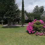 Apartment Quinta Da Costa Monsul