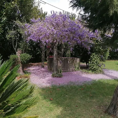 Quinta Da Costa Monsul