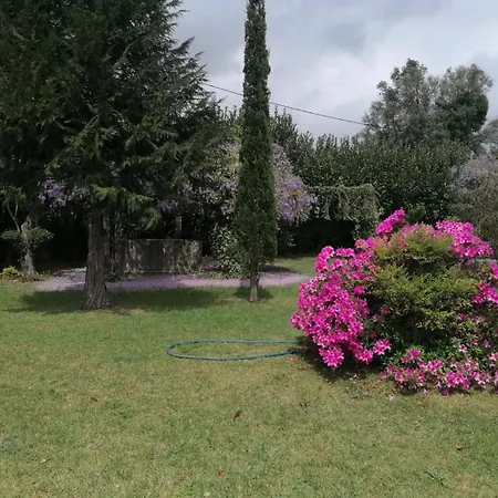 Lägenhet Quinta Da Costa Monsul